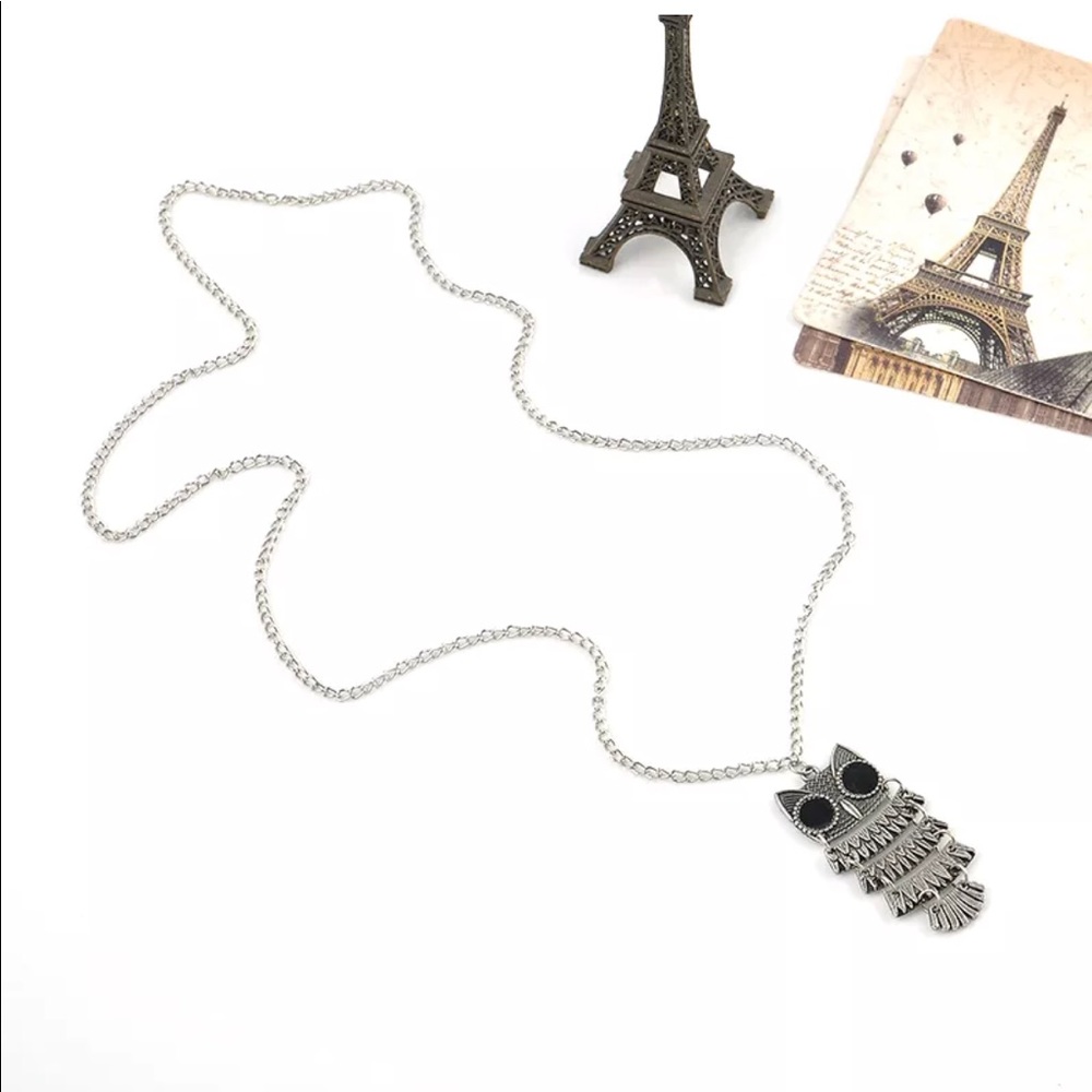 Cute Long Chain Owl Necklace N4 - Picture 4 of 4